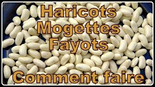 Haricot  Mogette  Flageolet  Fayot Comment faire N°169 [upl. by Monagan]