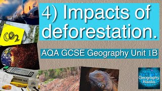 4 Impacts of deforestation  AQA GCSE Geography Unit 1B [upl. by Yleik]