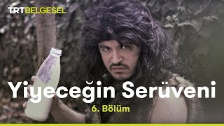 Yiyeceğin Serüveni  Süt [upl. by Irisa218]