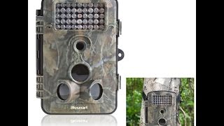 Review of Wildlifesurveillancetrail outdoor camera by Blusmart [upl. by Yate]