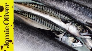 How to Fillet Sardines  Jamie Oliver [upl. by Nomael455]