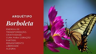 Borboleta [upl. by Monda]