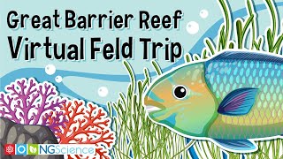 Great Barrier Reef – Virtual Feld Trip [upl. by Brant894]