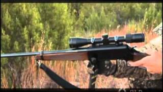 Browning BLR Rifle Overview 2008 [upl. by Innavoeg]