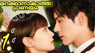 Unforgettable Love🥀 മലയാളത്തിൽ Ep1 Romantic Comedy C Drama Explanation MOVIE MANIA SERIES [upl. by Bendicty]