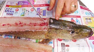 How to Fillet a Pike and Get 5 Boneless Fillets [upl. by Devol]