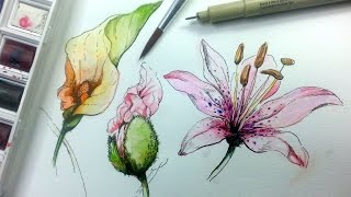 How to Draw amp Paint Flowers with Ink and Watercolor Part 1 [upl. by Rahmann891]