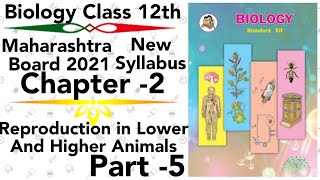 bio part5 ch2 Reproduction in lower amp higher Animals class 12 science new syllabus maharashtra board [upl. by Lynch869]