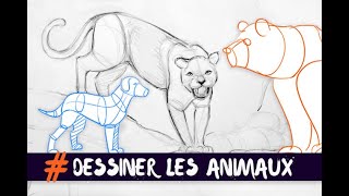 DESSINER LES ANIMAUX  TECHNIQUE DE BASE [upl. by Enair]