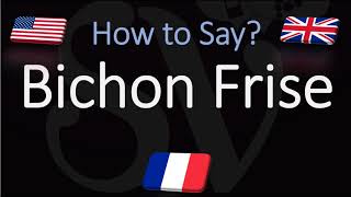 How to Pronounce Bichon Frisé CORRECTLY English French Dog Breed Pronunciation [upl. by Juanne840]