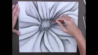 Charcoal Flower Drawing [upl. by Leyla]