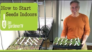 How I Start Seeds Indoors Tips amp Techniques [upl. by Aicenat392]