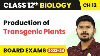 Production of Transgenic Plants  Biotechnology and Its Applications  Class 12 Biology 202223 [upl. by Adnirem]