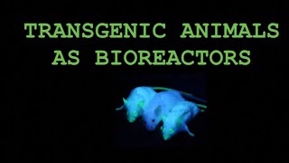 Transgenic Animals As Bioreactors and their Production  Notes for Biotechnology  Amitian Notes [upl. by Onder]