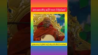 කොහොමද දේව සාප වදින්නේ ven welimada saddhaseela thero [upl. by Sucramraj]