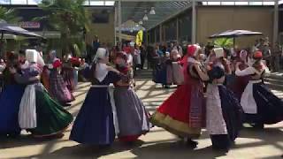 Danish Folk Dance Jyllinge Denmark [upl. by Ailet]