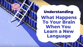 What Happens To Your Brain When You Learn a New Language  Understanding with Unbabel [upl. by Rusticus127]