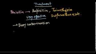 Listeria monocytogenes treatment [upl. by Lap208]