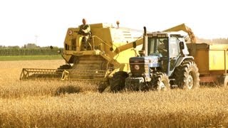 Classic Combine Week 7 New Holland Clayson M140 [upl. by Alletse453]