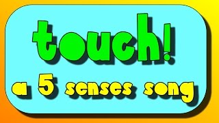 Touch A Five Senses Song [upl. by Schmitz41]