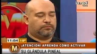 Aprenda a activar su glándula pineal [upl. by Haskins705]