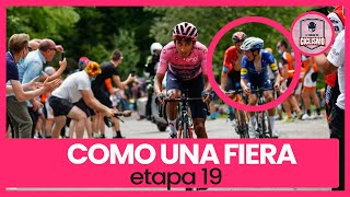 Así defendió la Rosa EGAN BERNAL  Etapa 19 giro de Italia 2021 [upl. by Donella749]