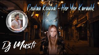 Her Yer Karanlık roman havası ritim 2021 CEYLAN KOYNAT FEAT DJ MUSTİ [upl. by Didi]