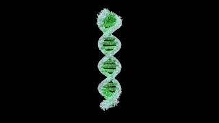 Designing Droplet Digital PCR Assays [upl. by Salina]