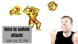 Intro to Sulfate Attack [upl. by Ahsilra]