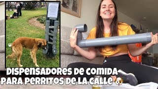 Dispensadores de comida para perritos de la calle ♥️🐶 [upl. by Swor]