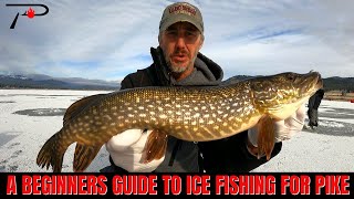 A Beginners Guide To Ice Fishing For Pike [upl. by Fenn]