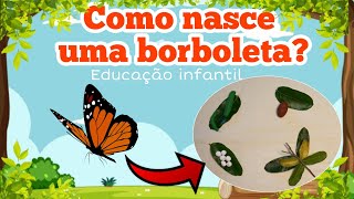 COMO NASCE UMA BORBOLETA EDUCAÇÃO INFANTIL  Aula completa vídeo Educativo Atividade ciclo da vida [upl. by Frymire]