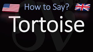 How to Pronounce Tortoise CORRECTLY [upl. by Eiralam]