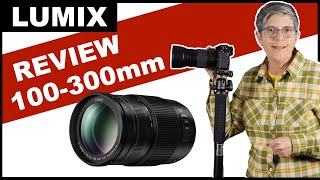 Lumix 100300mm II Lens Review [upl. by Anaderol596]