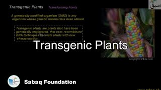 Transgenic Plants Biology Lecture  Sabaqpk [upl. by Isdnil]