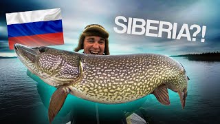 Exploring Pike Fishing in SIBERIA 🇷🇺 [upl. by Araccot]