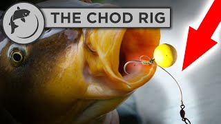 How To Tie A Chod Rig for Carp Fishing [upl. by Aneerak837]