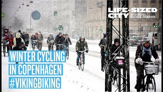 Winter Cycling in Copenhagen  Viking Biking [upl. by Nairam]