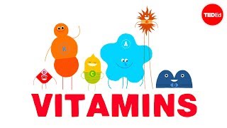 How do vitamins work  Ginnie Trinh Nguyen [upl. by Pomfret]