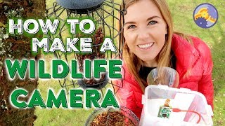 How to make a Wildlife Camera using a Raspberry Pi  Maddie Moate [upl. by Nylzzaj]