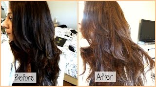 How I Dye My Hair From Black to Chocolate Ash Brown at Home [upl. by Alikahs]