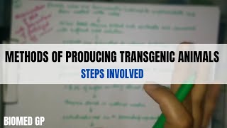 Methods of producing transgenic animals [upl. by Naujet607]