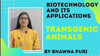 TRANSGENIC ANIMALSBIOTECHNOLOGY AND ITS APPLICATIONSCH12BIOLOGY [upl. by Akihsay]