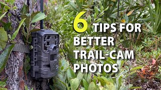 6 Tips for TrailCamera Setup to Get More amp Better Deer Photos [upl. by Juieta]