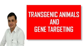 Transgenic animals their applications and examples  Gene Targeting [upl. by Baudin777]