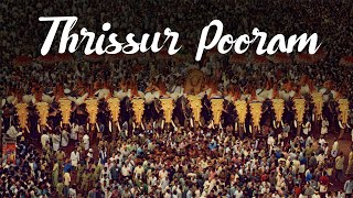 Thrissur Pooram Festival  Kerala Festivals  Pilgrim Tourism  Kerala Tourism [upl. by Atekihs]