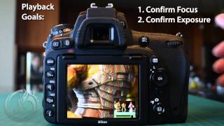 Nikon D750 Recommended Settings amp Tips [upl. by Asilegna]