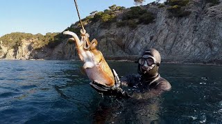 Chasse sous marine Méditerranée Fin Hiver 2020Var [upl. by Chaille]