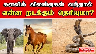 கனவில் விலங்குகள் வந்தால் என்ன நடக்கும் தெரியுமா  Meaning of Dreams  Kanavu Palangal in Tamil [upl. by Drarej]