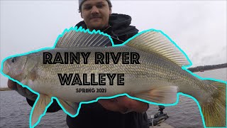 Minnesota Spring Walleye Fishing 2021 Rainy River [upl. by Amla]